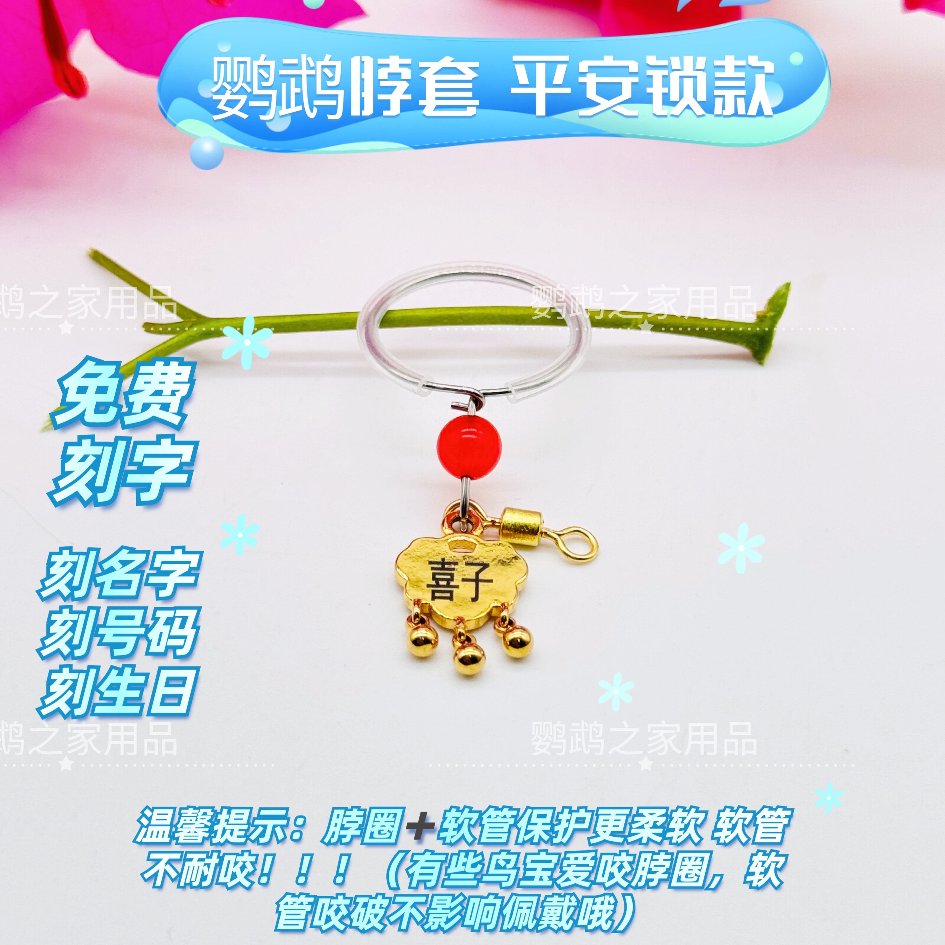 牡丹鹦鹉脖圈链子定制刻字