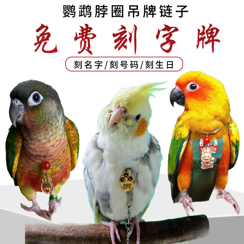 鹦鹉脖圈定制玄凤刻字小太阳吸蜜和尚金太阳牡丹脖套脚环链子放飞