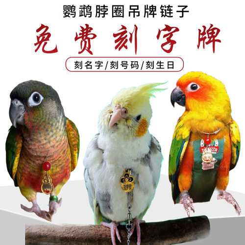 鹦鹉脖圈定制玄凤刻字小太阳吸蜜和尚金太阳牡丹脖套脚环链子放飞