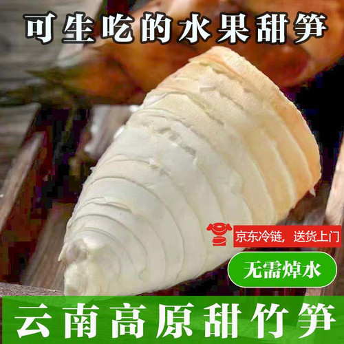 云南甜笋新鲜竹笋现挖思茅甜龙笋普洱生吃甜笋曼歇坝甜笋火锅食材