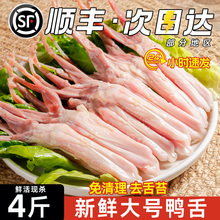 新鲜大号鸭舌头鸭舌生鲜冷冻商用批发生鸭舌鸭货生鲜【顺丰包邮】