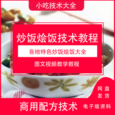各地区特色炒饭烩饭制作技术视频下载学习开饭店地摊源文件资料商