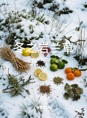 调香师OR【冬之岩兰草】原创小众香水