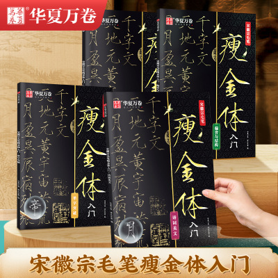 宋徽宗瘦金体一本通成人练字硬笔字帖教程楷书硬笔字帖瘦金体全套