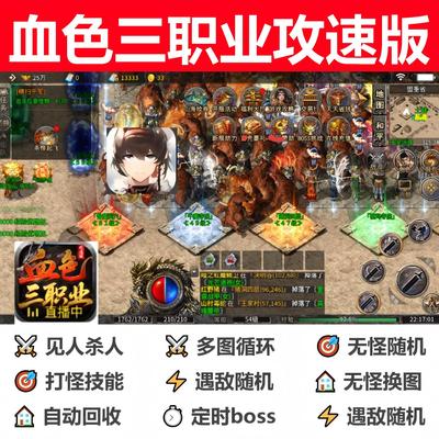 血色三职业攻速版辅助脚本软件996传奇挂机定计时现货云手机