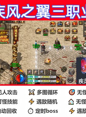 疾风之翼三职业辅助脚本全自动盒子传奇挂机定计时软件黑科技神器