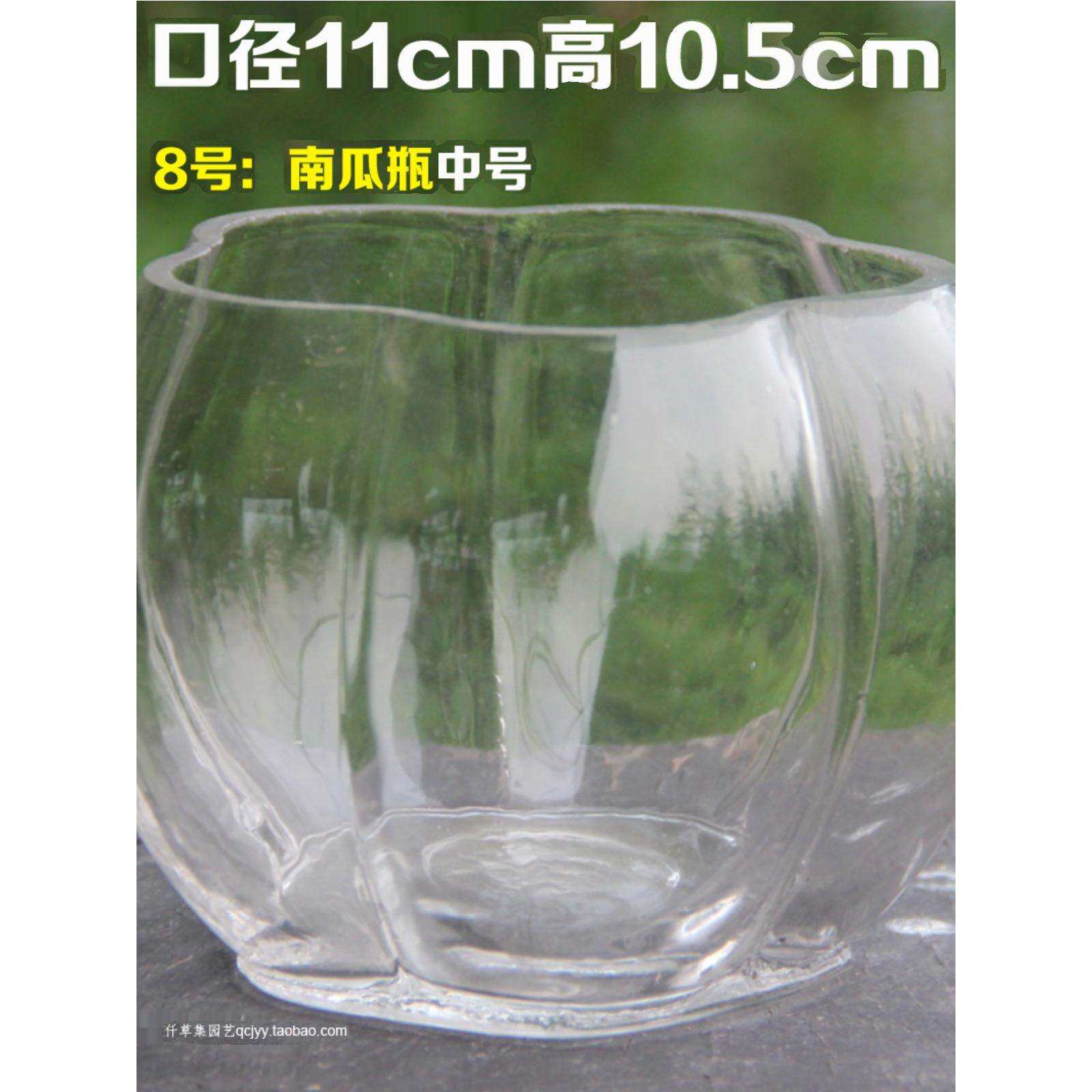 水培玻璃瓶花瓶水培植物水培花盆富贵竹水培花瓶鱼缸微景观玻璃瓶