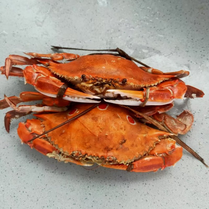 阳江冷冻梭子蟹三点蟹天然三眼蟹有膏蟹海鲜生腌蟹三目螃蟹一斤,水产肉类/新鲜蔬果/熟食,梭子蟹,淘宝优惠券,粉丝福利购,淘宝优惠卷