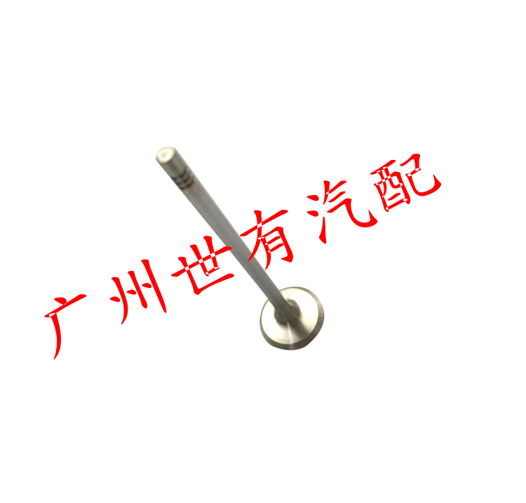 适用宝马F31 F35 F32 F33 F36 F07 F10 F11 F18 F25 进气门排气门