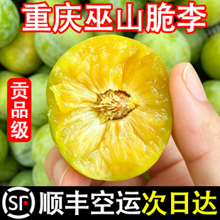 顺丰包邮重庆巫山脆李当季新鲜水果四川李子产地直发蜂糖脱骨李
