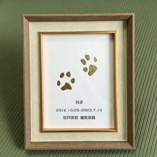 宠物定制立体金箔爪印纪念相框萌宠狗狗猫咪脚印纪念品照片摆件