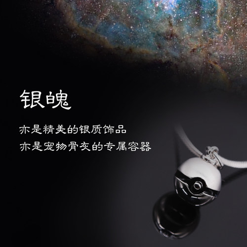 燃後银饰钛钢宠物骨灰项链猫狗