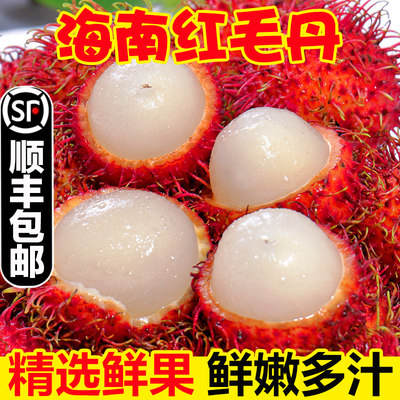 海南新鲜水果红毛丹毛荔枝