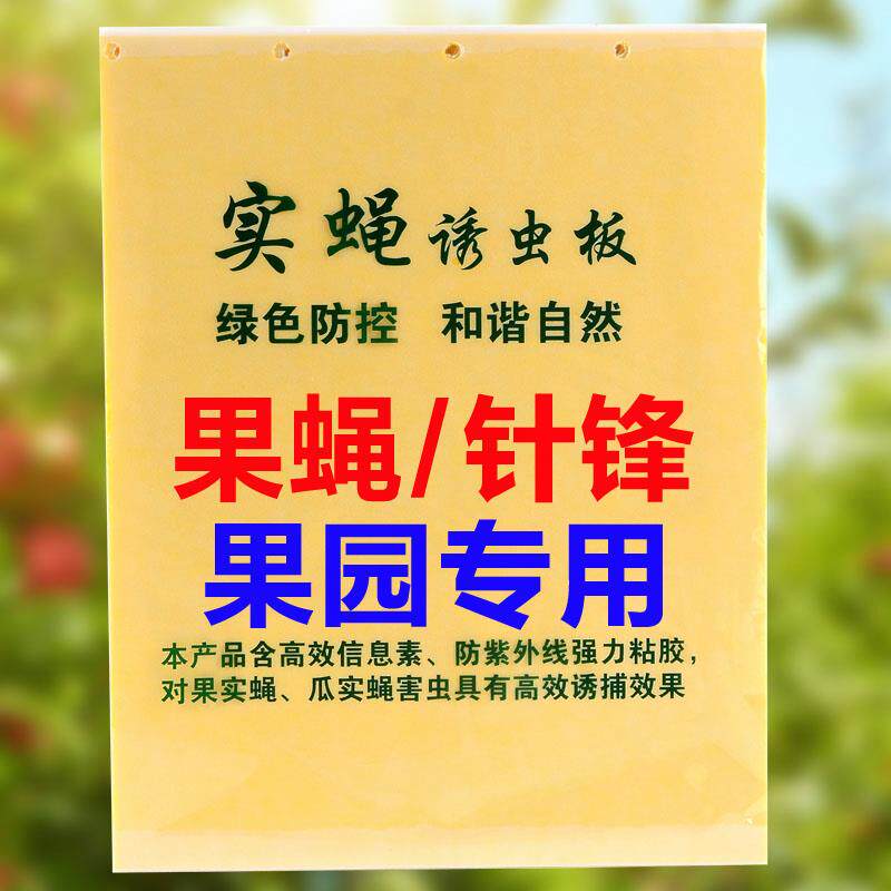 果园专用信息素针锋粘板瓜果实蝇粘胶板黄板粘虫板黄色防水粘虫在类目 鲜花速递/花卉仿真/绿植园艺, 园艺用品, 其它园艺用品中 - 来自Buy2taobao.com提供专业的淘宝代购服务