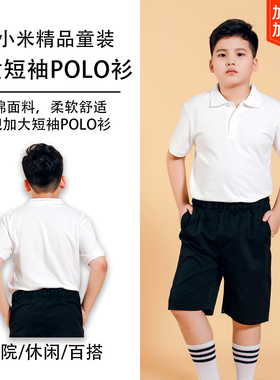 胖童白色短袖polo衫男童夏季加肥加大校服儿童纯棉大童翻领白T恤