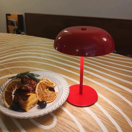 ZAR充电金属蘑菇装饰AHO氛围台灯