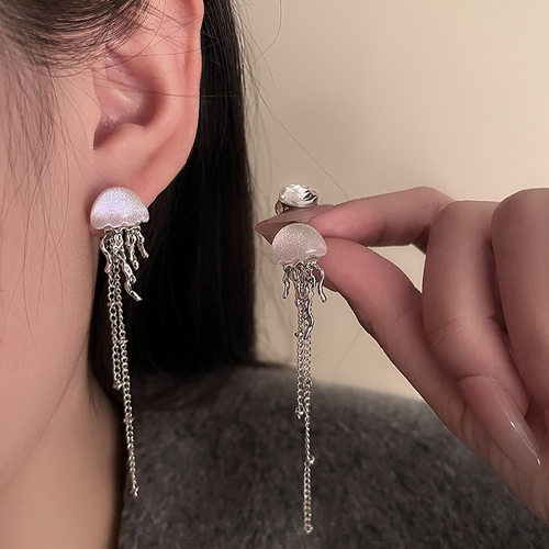 The new tassel earrings for women are fashionable女百搭耳饰