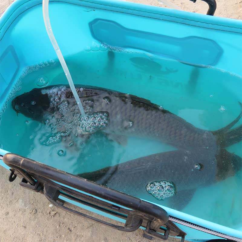 鱼护桶eva加厚多功能钓鱼桶防水活鱼桶鱼箱装鱼桶折叠鱼桶鱼箱
