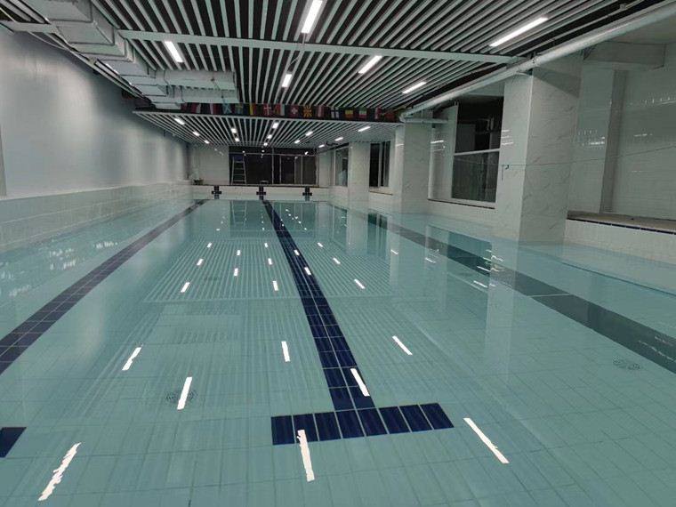 民宿泳池私人订制逆流游泳池温泉冲浪泳池设计建造安装过滤设备