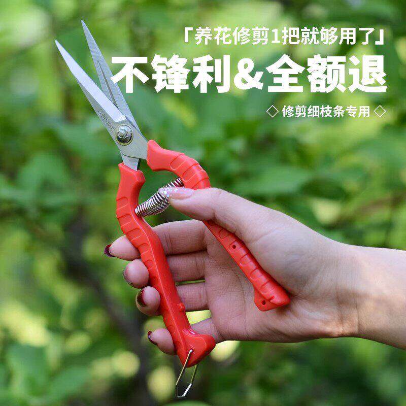 修枝剪葡萄荔枝采果剪家