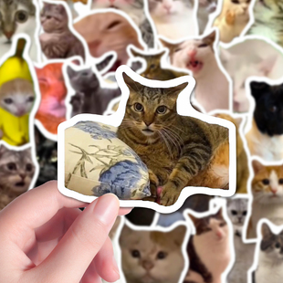 202张猫meme表情包贴纸可爱搞怪趣味流行梗图装 饰diy手机平板防水