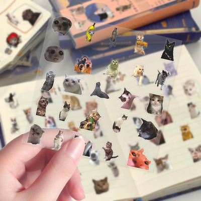 202张趣味创意猫meme透明ins风可爱搞笑梗图表情学生装饰恶搞贴画