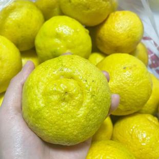 正宗贵州榕江干烈高山黄金贡柚现摘现发新鲜多汁清甜手剥柚