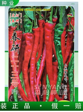 春研二十三号辣椒种子香辣早熟土辣椒薄皮鲜食青红直线尖椒种籽孑