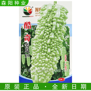 农之子酷奇苦瓜种子中晚熟珍珠苦瓜菠萝玉冠春秋季高产四季蔬菜种