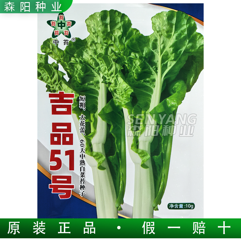 中苔吉品51号60天中熟白菜苔种子
