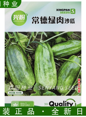 农家大田春秋季播种蔬菜种子