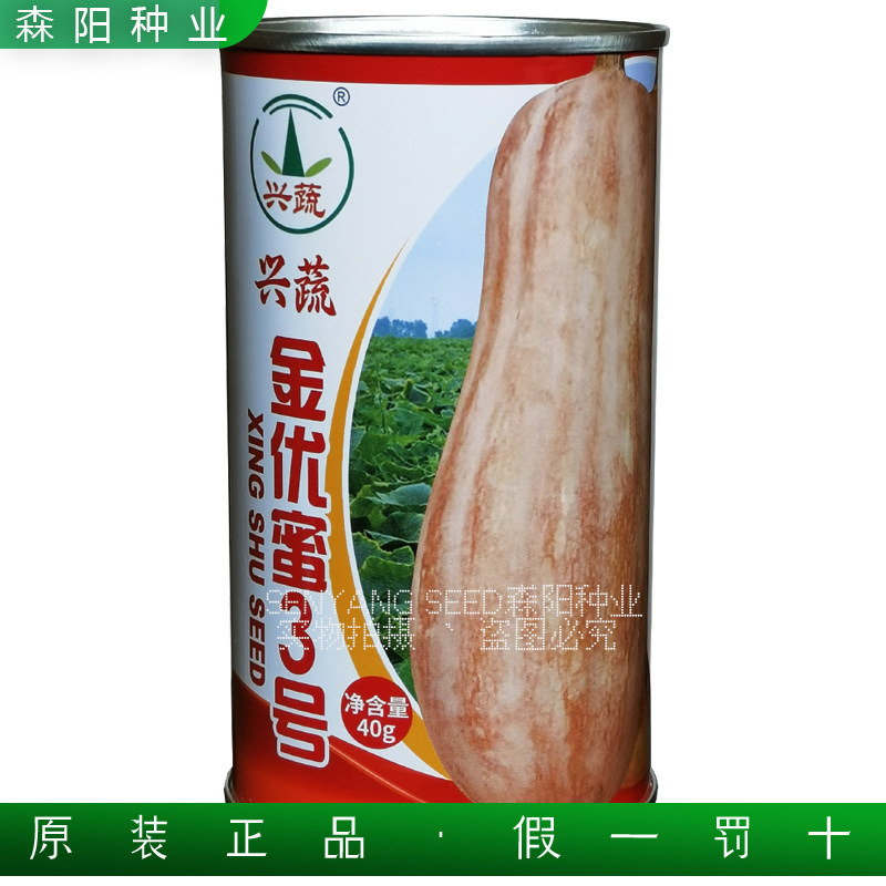 兴蔬金优蜜3号蜜本南瓜种子籽中熟甜面板栗南瓜春秋季金船大蜜本