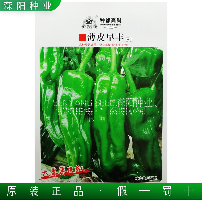 种都薄皮早丰大果薄皮泡椒早熟灯笼椒春秋冬季皱皮青椒微辣牛角椒