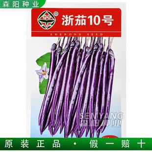 浙农浙茄10号茄子杂交种紫红长线茄春秋季高产贵人紫红长茄杭茄一