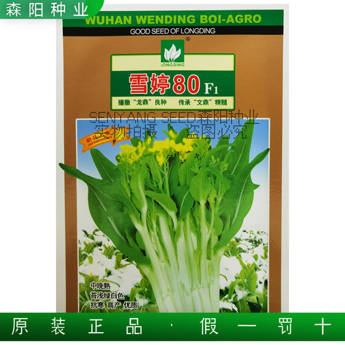 雪婷80菜苔种子中晚熟耐寒白菜苔