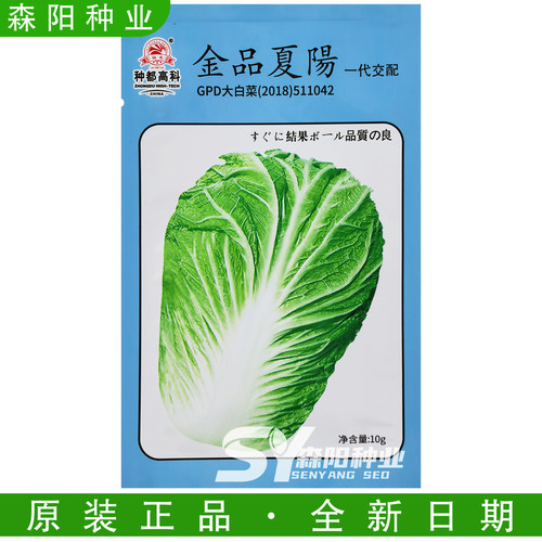 种都高科夏阳302/303耐热大白菜