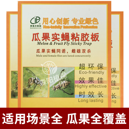 英格尔实蝇诱虫板雌雄双杀