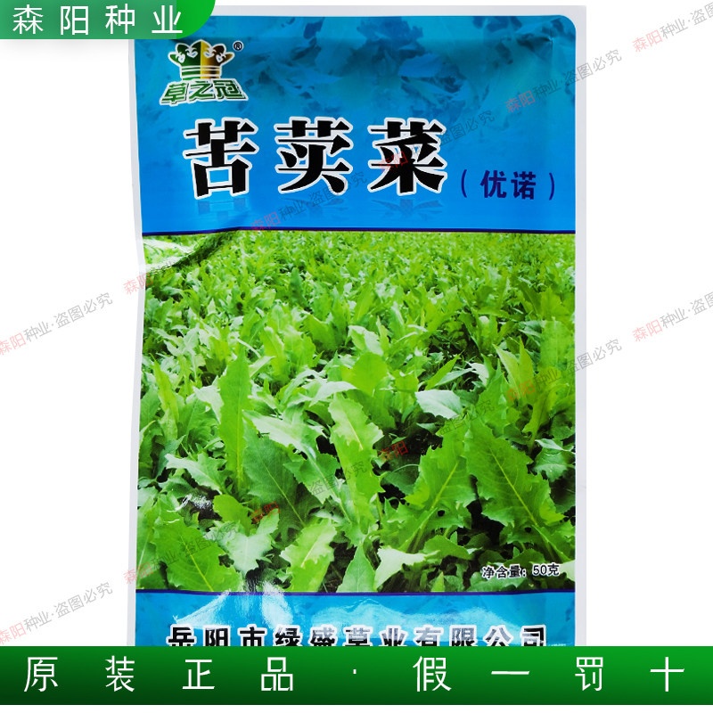 草之冠苦荬菜优诺山莴苣苦麦菜耐热寒牧草种子鸡鸭鹅鱼家禽青饲料