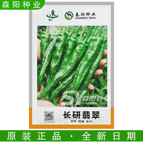 长研翡翠辣椒种子微辣高产中熟