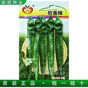 农望新根软香辣早熟羊角椒软皮辣椒种子鲜食特辣浓香春秋季糯米椒