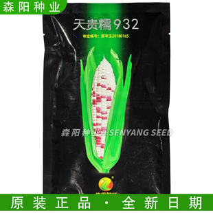 仲衍天贵糯932玉米种子鲜食糯玉米密花甜糯彩甜糯6号高产大棒2018