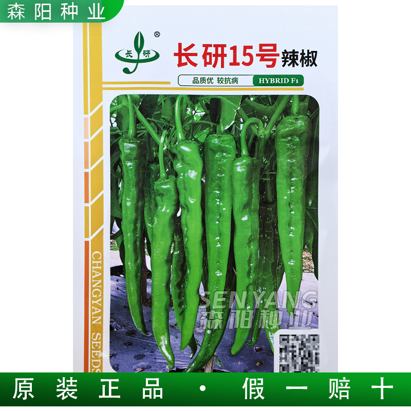 长研15号辣椒种中早熟粗长牛角椒