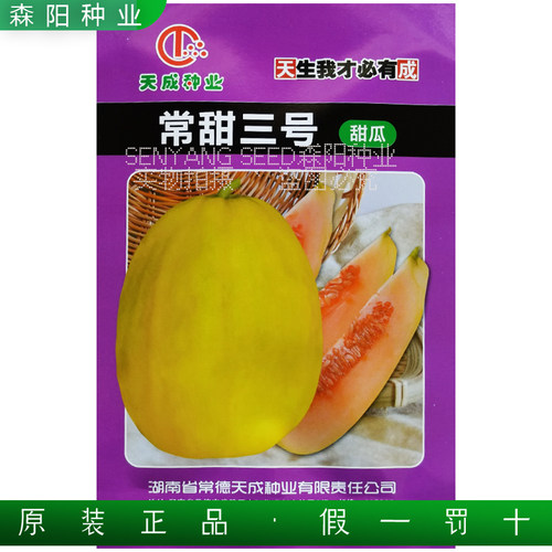 天成常甜三号甜瓜黄皮红肉哈密香