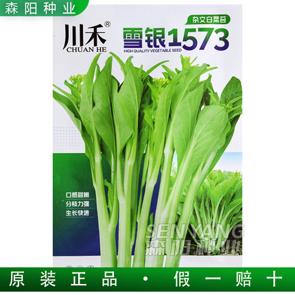 川禾雪银1573杂交白菜苔种子极早熟白梗菜心中苔一号秋冬季小青菜