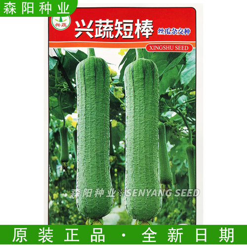 兴蔬早熟皱皮短棒丝瓜种子