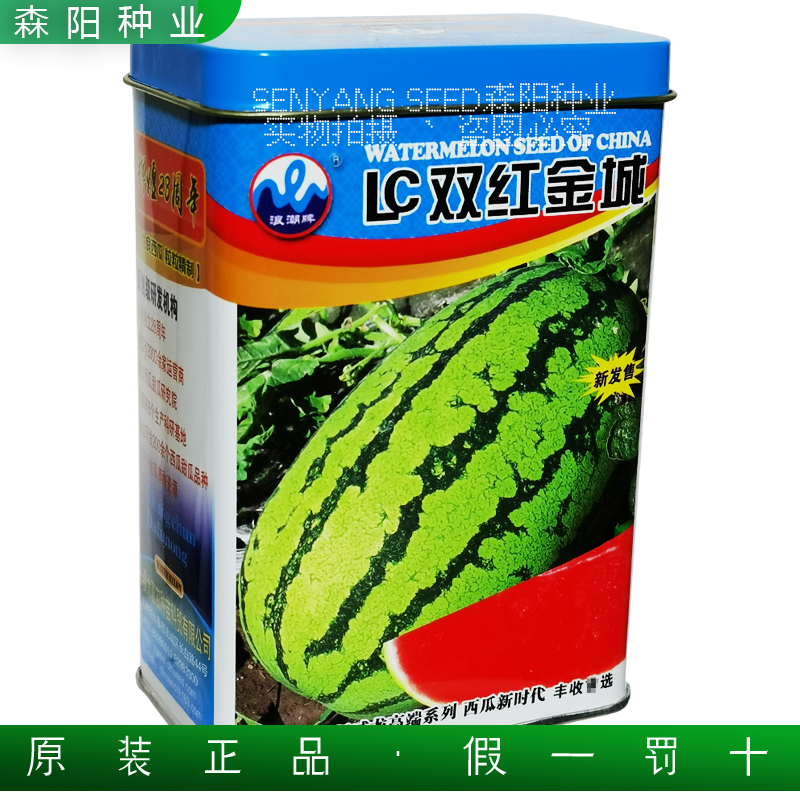 浪潮LC双红金城西瓜种子抗重茬