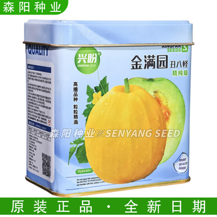 兴盼 金满园丑八怪甜瓜种子早熟高产香甜黄皮绿肉八棱瓜春秋种植