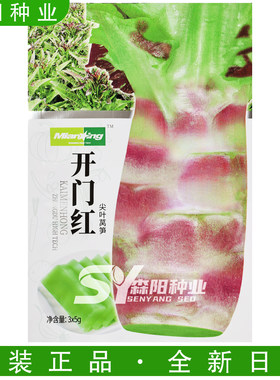 种都高科秋冬耐寒长棒莴苣种子