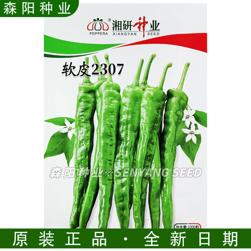 湘研软皮2307辣椒种子早熟香辣