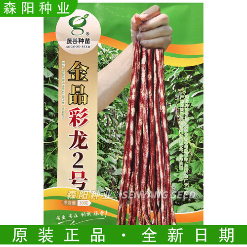 蔬谷金品彩龙2号早中熟豇豆种子